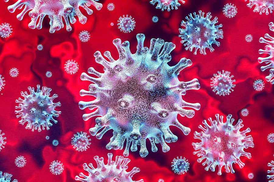 Cuidado con el virus llamado miedo
